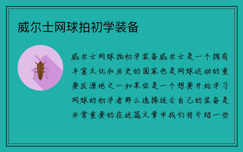 威尔士网球拍初学装备